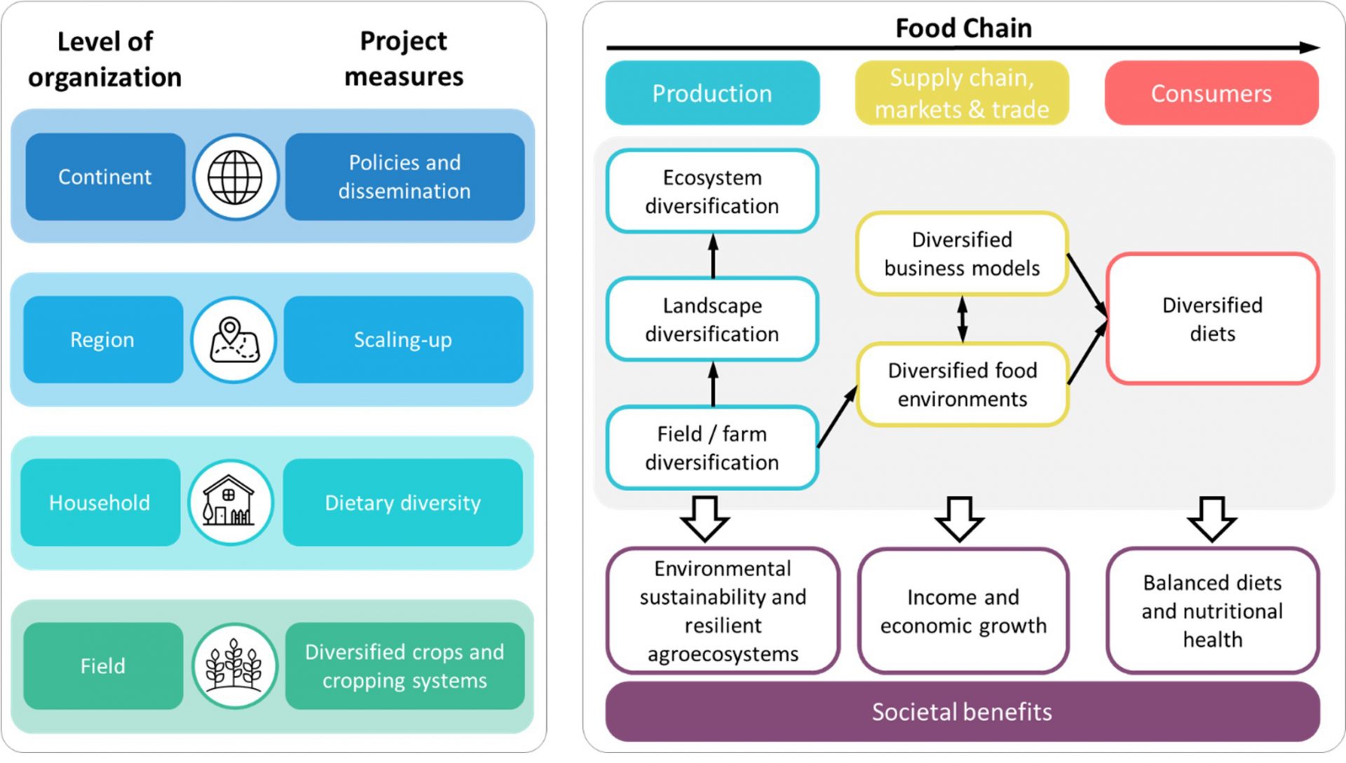 HealthyDiets4Africa Approach